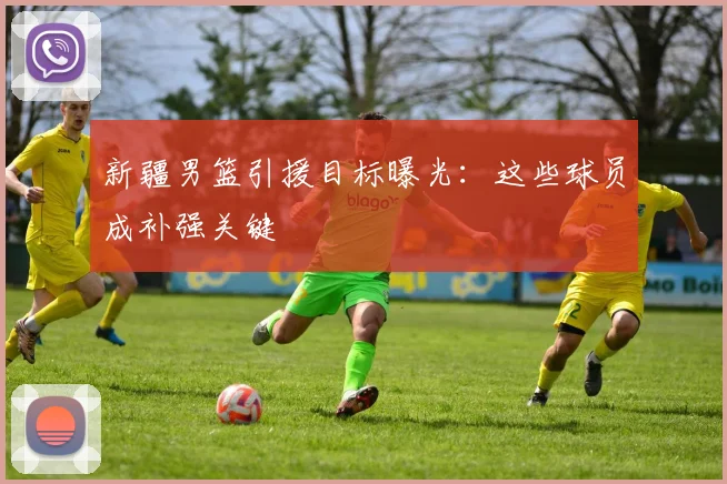 新疆男篮引援目标曝光：这些球员成补强关键