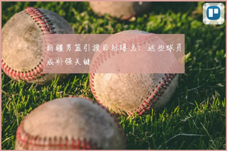新疆男篮引援目标曝光：这些球员成补强关键